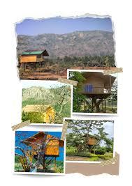 about image